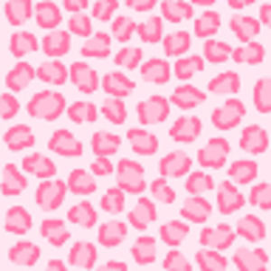 Meet your Posher, Nova